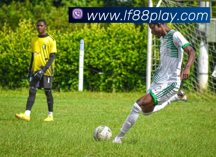 乐发vll服务体系